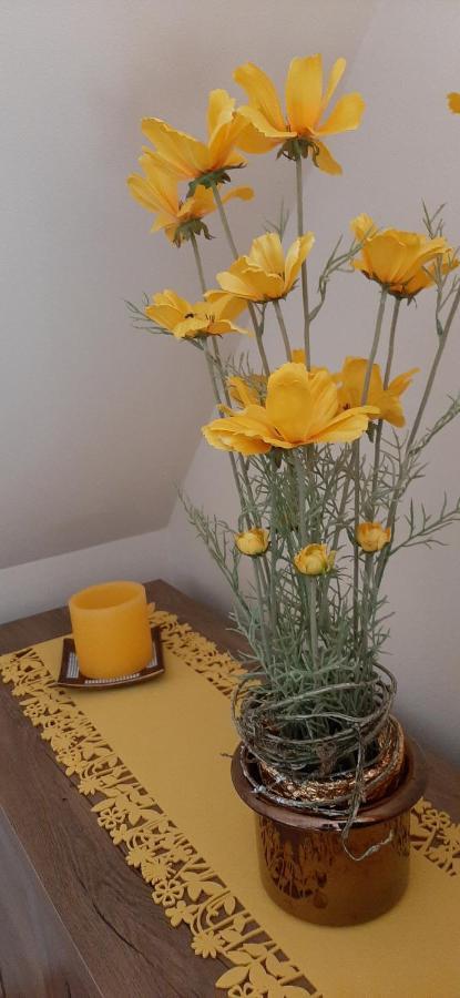 Napko Apartman Sopron Zewnętrze zdjęcie